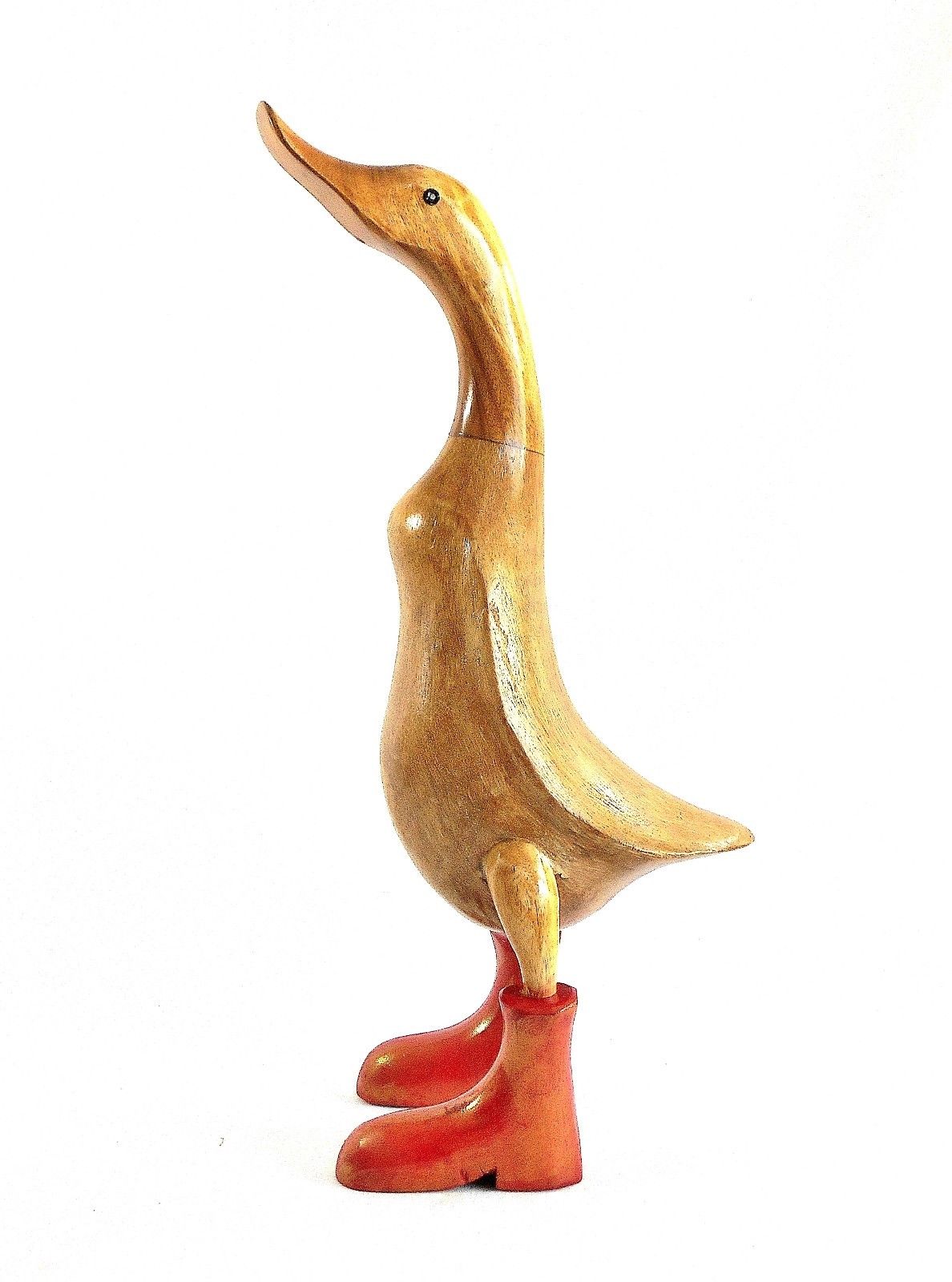duck wearing boots