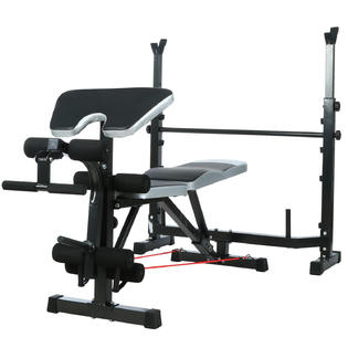 The Best Multifunctional Workout Station Adjustable Olympic Workout Bench Weight Bench With Weight Rack Leg Developer Preacher Curl