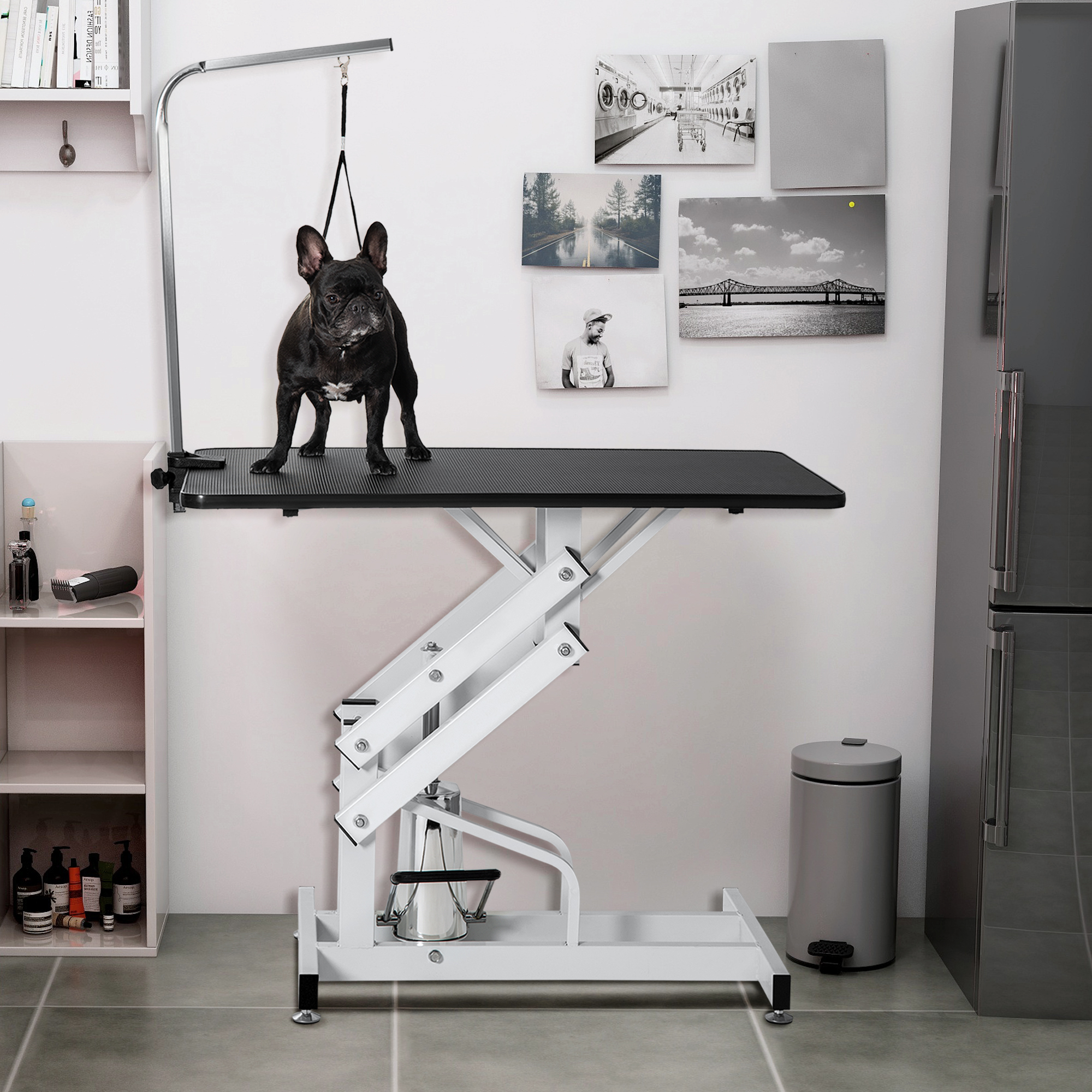 hydraulic dog lift