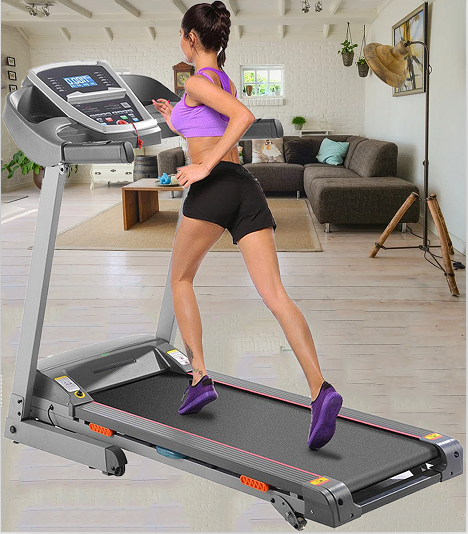 Gazelle Exercise Equipment