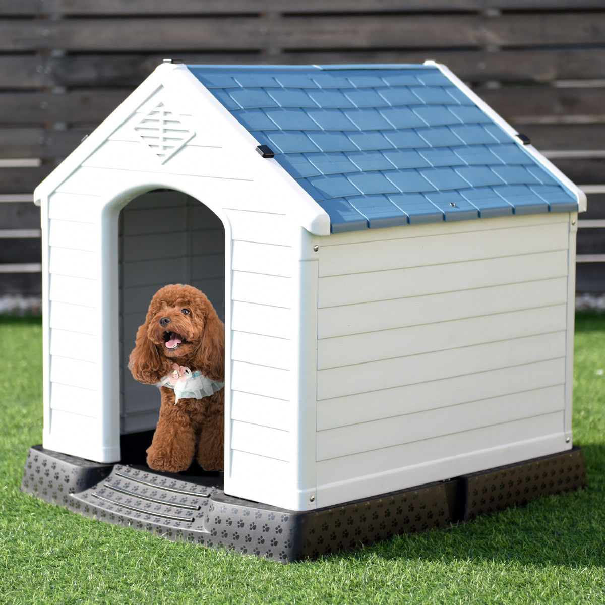 canvas dog kennel kmart