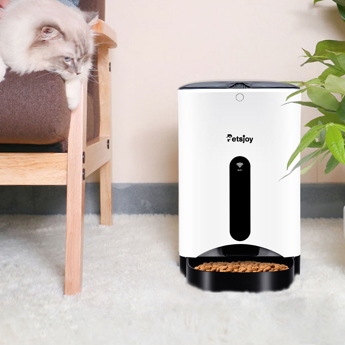 kmart pet feeder