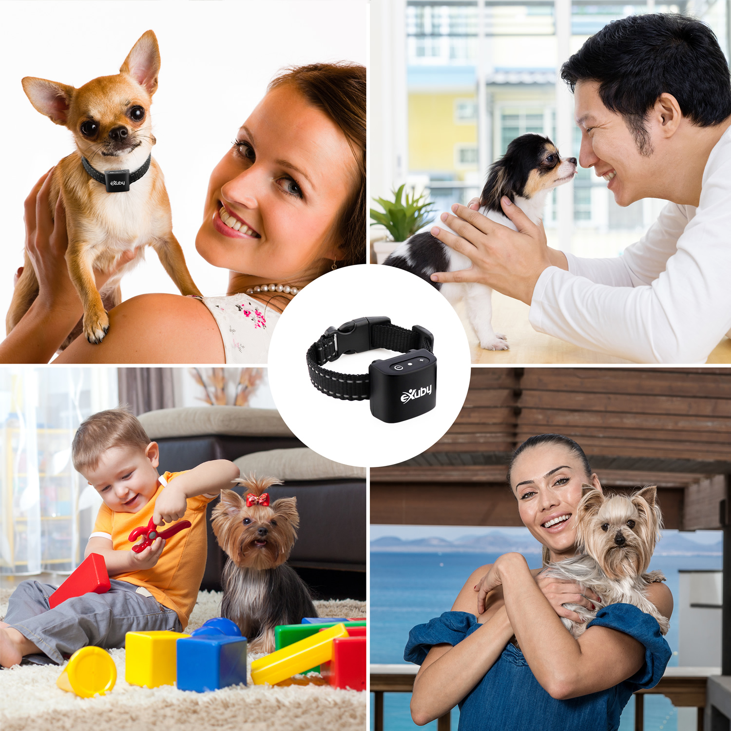 anti barking collar for small dogs