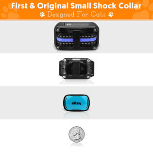 eXuby - Small Cat Shock Collar w/ Remote - Designed for ...