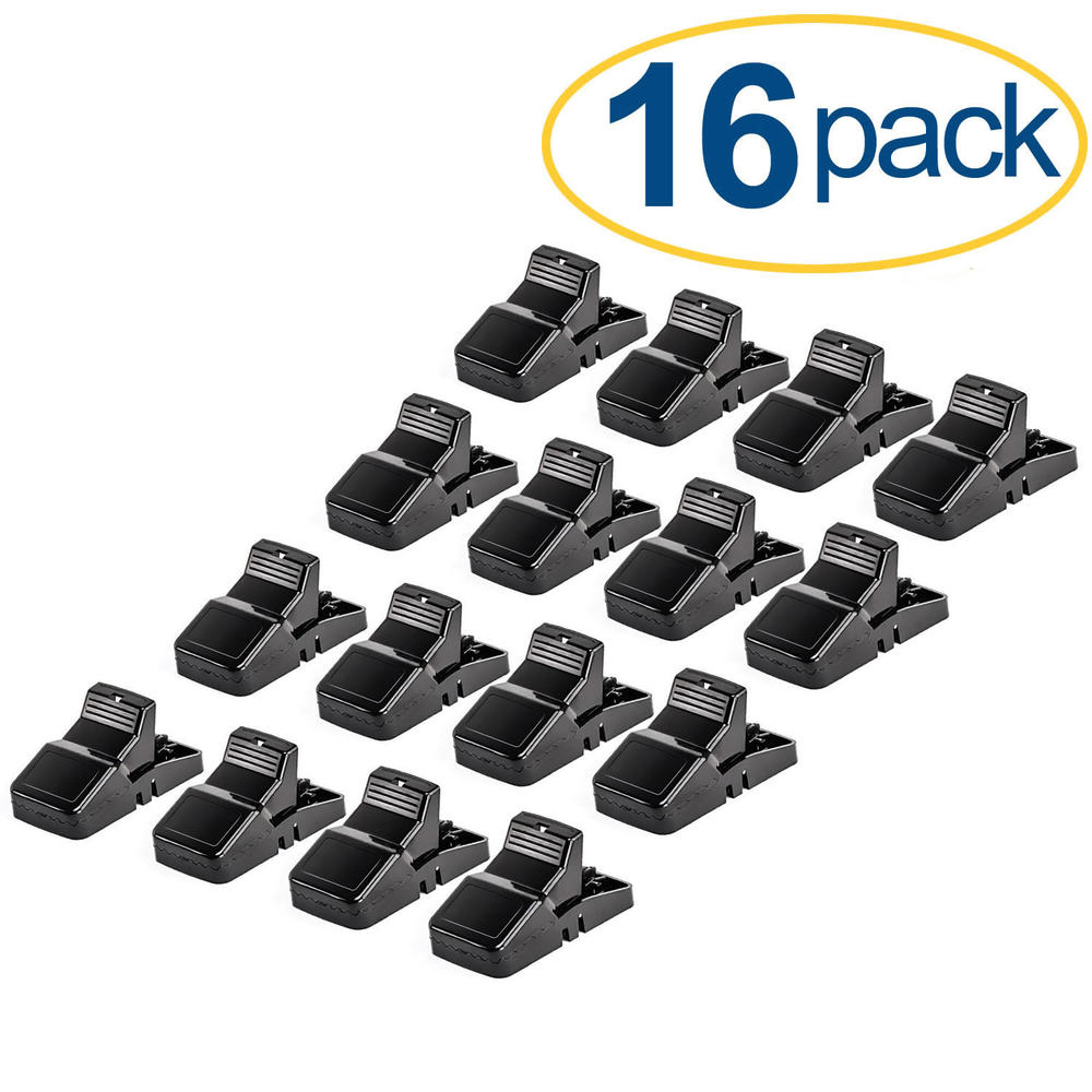 eXuby Large Powerful Rat Traps - 16 Pack - Kills Instantly with Powerful Steel Spring - Setup in Seconds - Wash & Reuse Over & Over