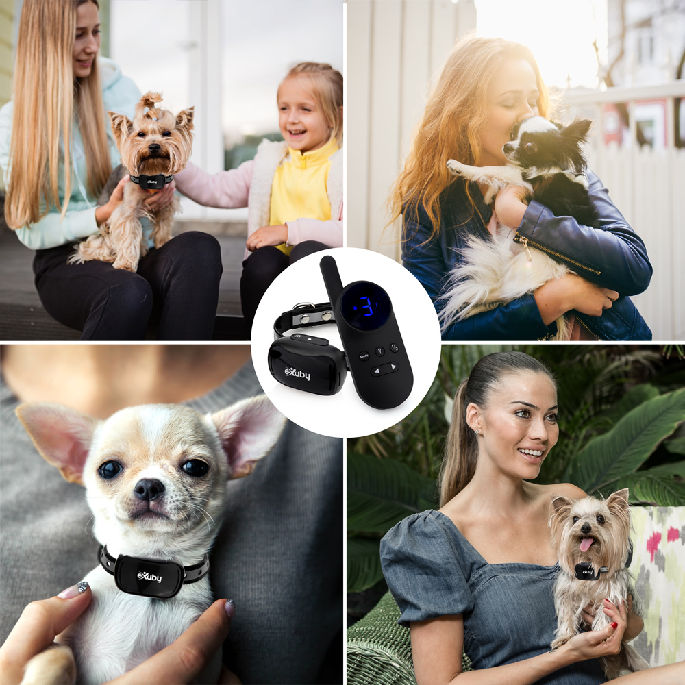 cheap shock collars for small dogs