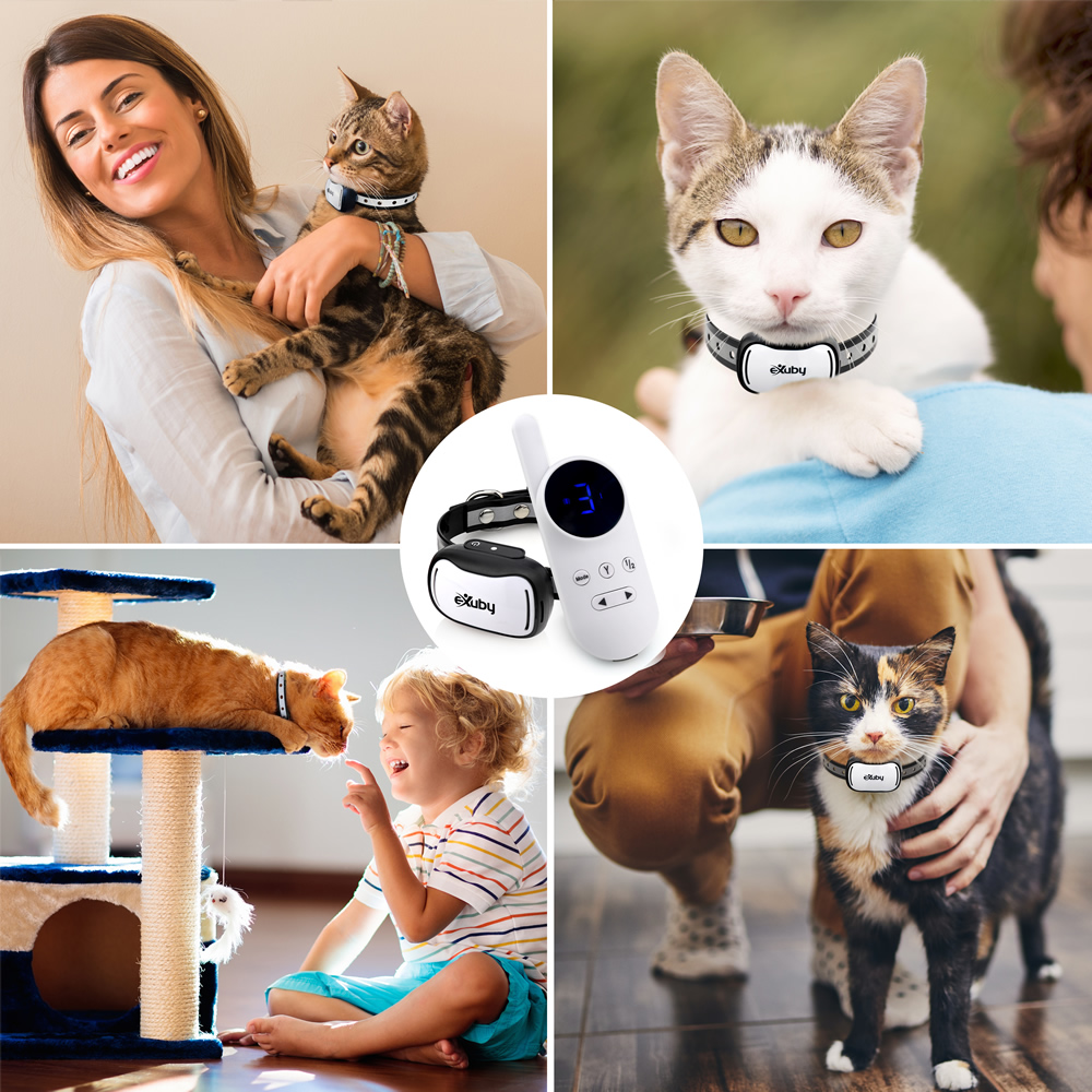 Small cat shock collar clearance