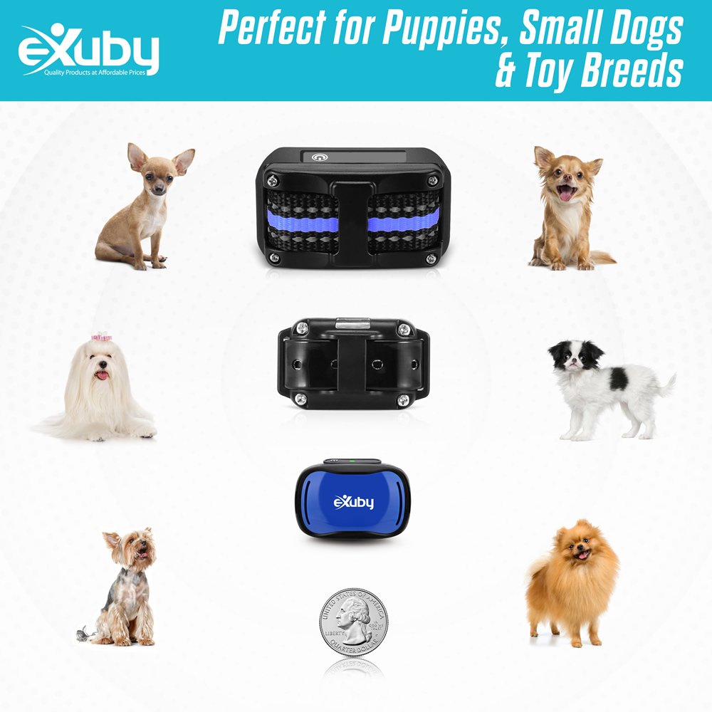 eXuby Tiny NO Shock Collar for Small Dogs 5-15lbs - Use Vibration & Sound to Train Instead of Shock - Humane & Friendly Training