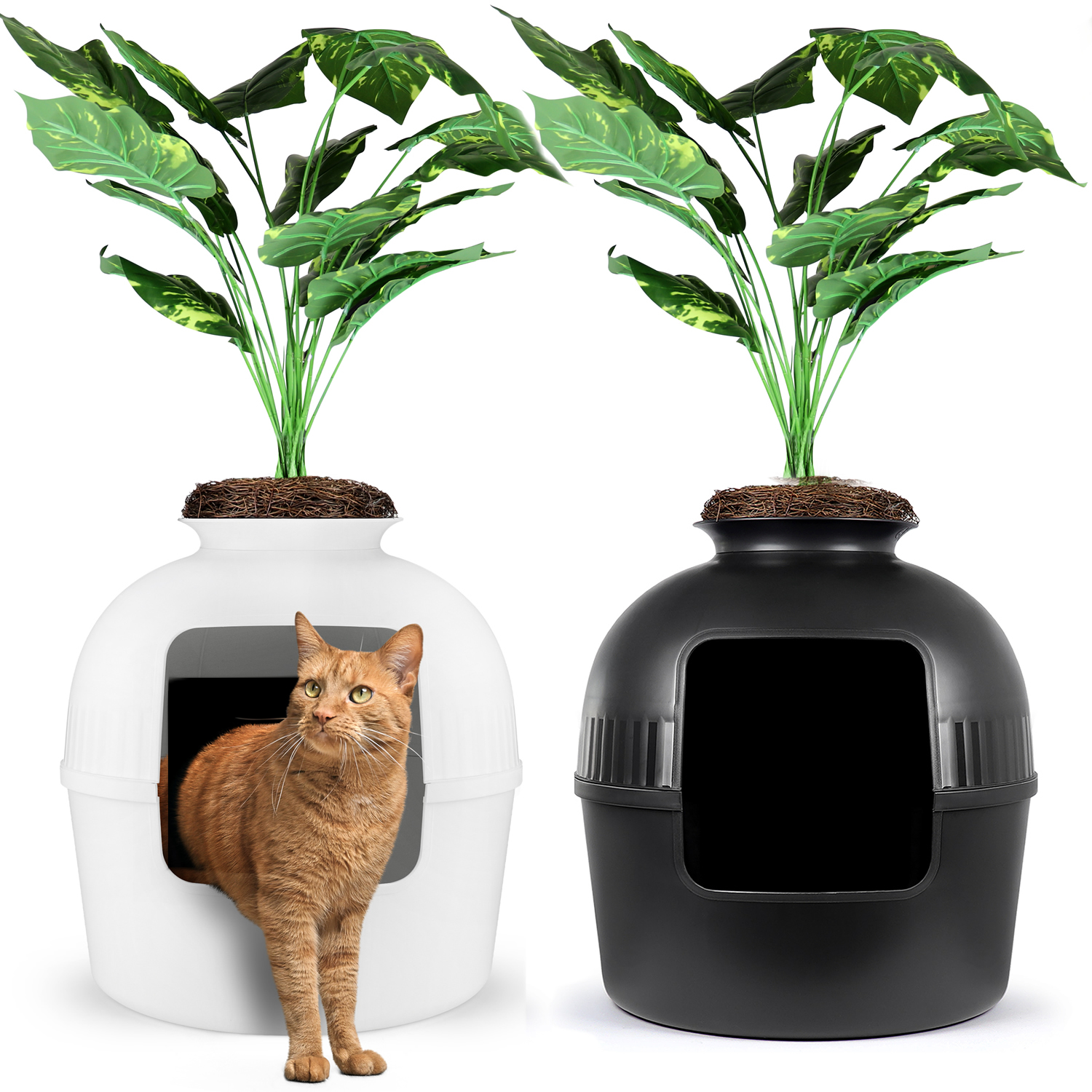 Plant litter hotsell box for cats