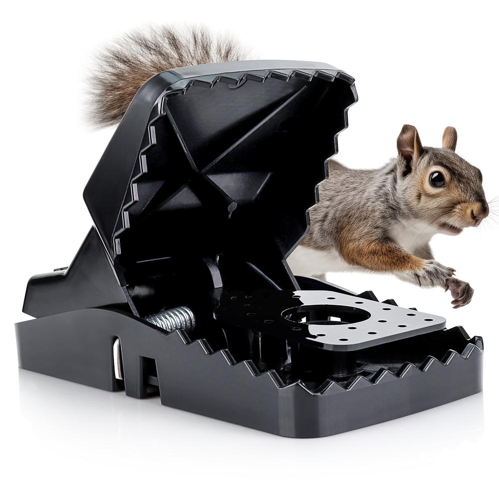 eXuby Squirrel Trap (2 pack) - Consistent & Humane Kill Every Time - Powerful & Deadly Spring - 5" Large Opening - Easy Setup