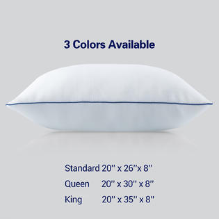 Sears foam outlet pillows