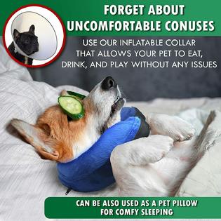 Dog cone pool noodle shop