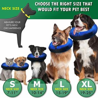 Inflatable dog collar kmart hot sale