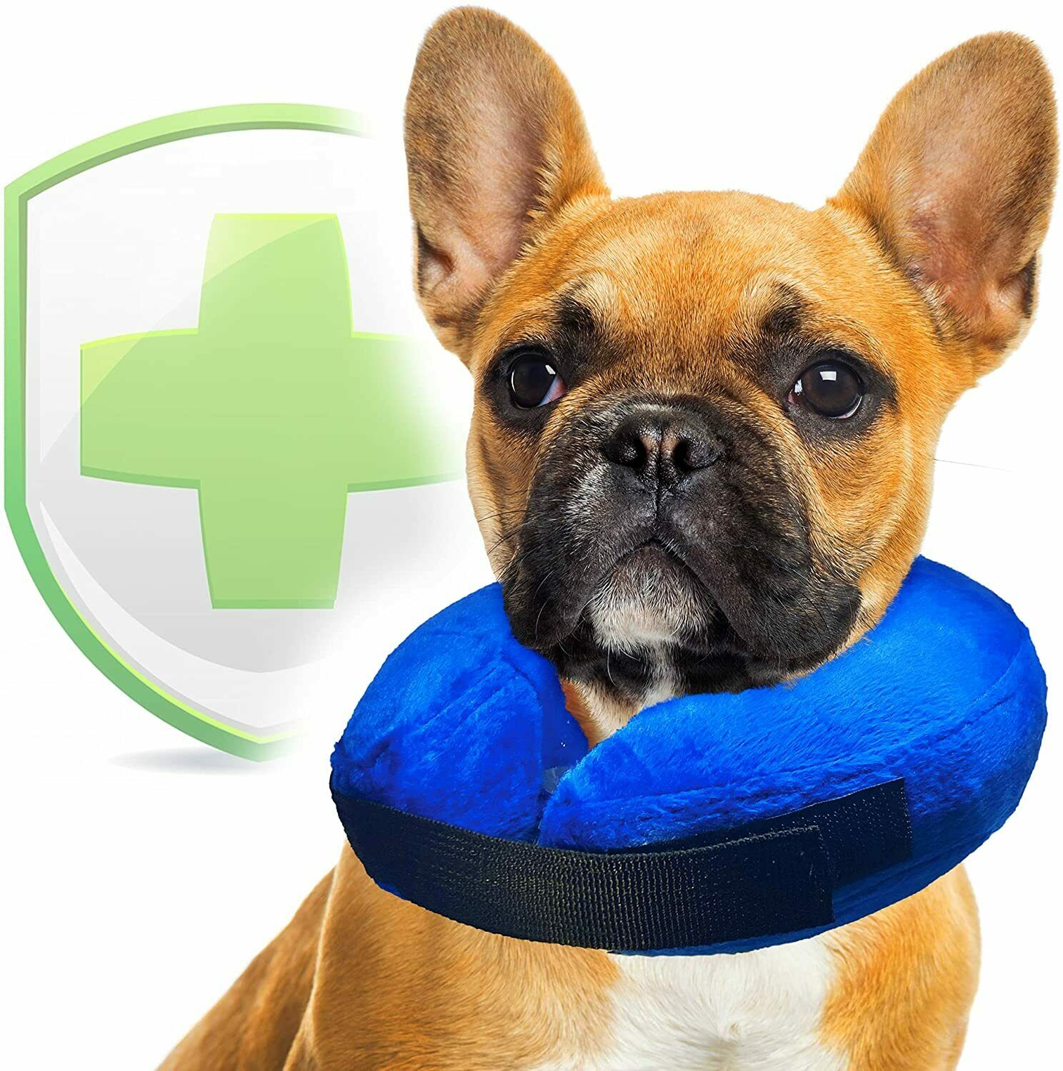 Blow up sales dog collar