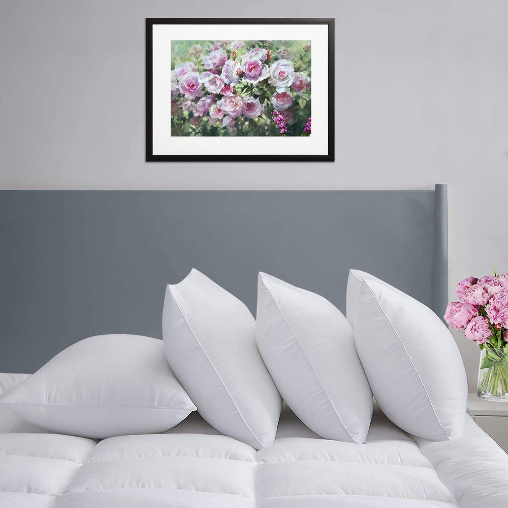 Home Sweet Home Dreams Inc Hypoallergenic DownAlternative Super Soft Bed Pillows (4Pack)