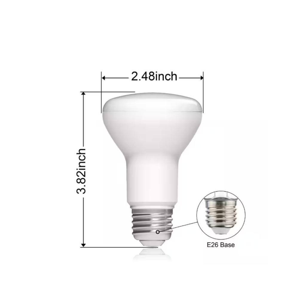 EcoSmart 50-Watt Equivalent R20 Dimmable ENERGY STAR LED Light Bulb ...