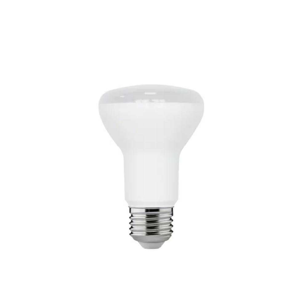 EcoSmart 50-Watt Equivalent R20 Dimmable ENERGY STAR LED Light Bulb ...