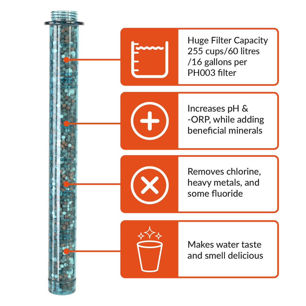 Invigorated Water pH REVIVE Alkaline Water Bottle & Carry Case – Alkaline Water Filter - Alkaline Water Ionizer – Filter Water Bottle