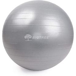 BIGTREE Exercise Ball Extra Thick Yoga Ball Chair Anti-Burst Heavy Duty Stability Ball with Quick Pump (Silver, 65cm)
