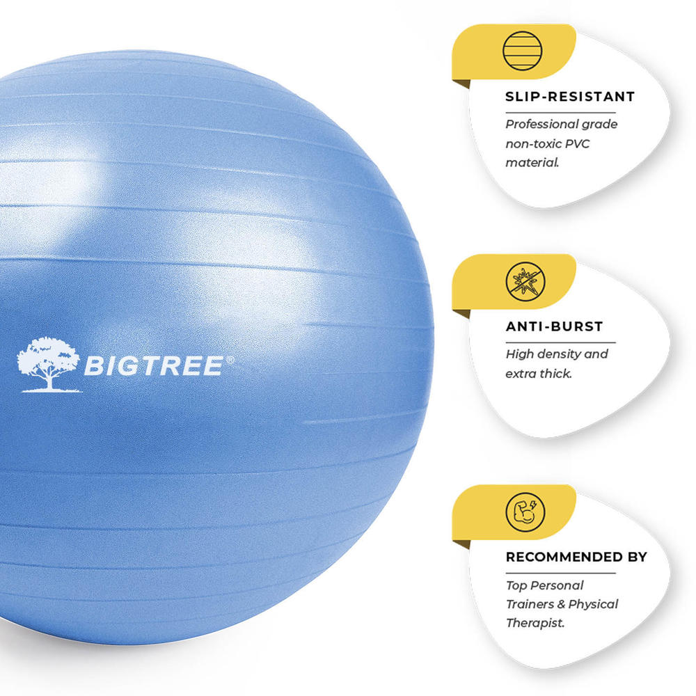 BIGTREE Exercise Ball Extra Thick Yoga Ball Chair Anti-Burst Heavy Duty Stability Ball with Quick Pump (Blue, 55cm)