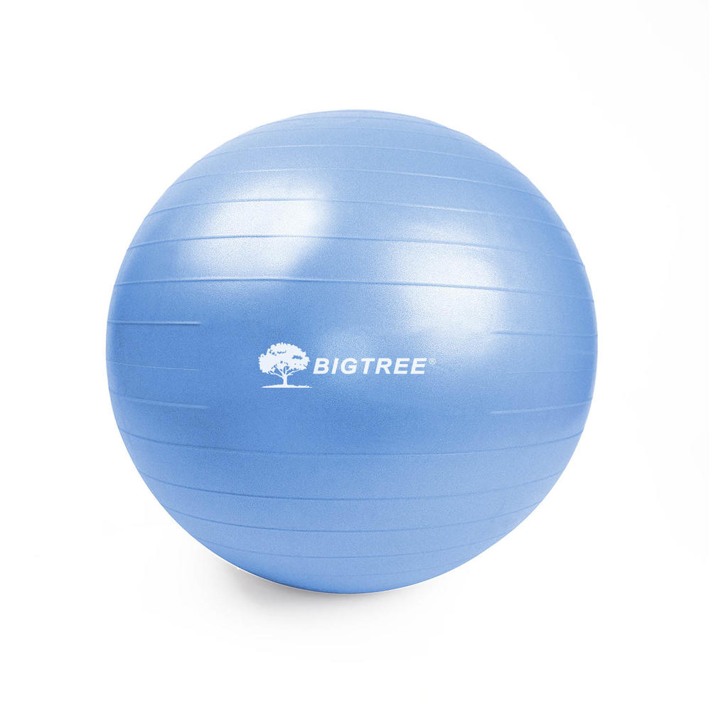 BIGTREE Exercise Ball Extra Thick Yoga Ball Chair Anti-Burst Heavy Duty Stability Ball with Quick Pump (Blue, 65cm)