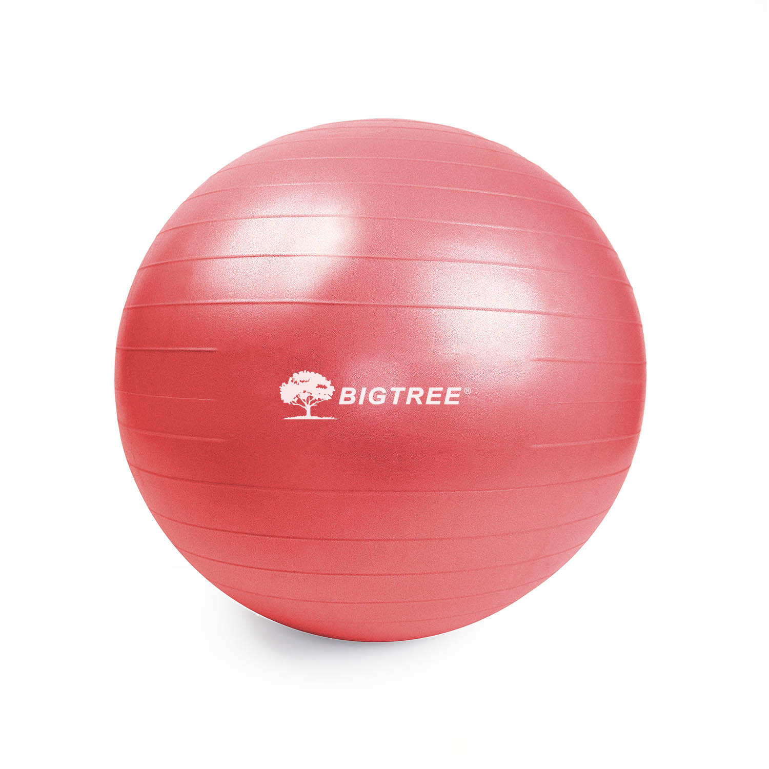 75 cm Anti-Burst Fitness Ball (w/pump)