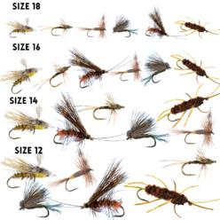 Evening Hatch 24 Dry Fly Assortment, Elk Hair Caddis Black, Fluttering Salmon Fly, Baetis Dun, Stimulator Orange Rub Leg, Black River Caddis,