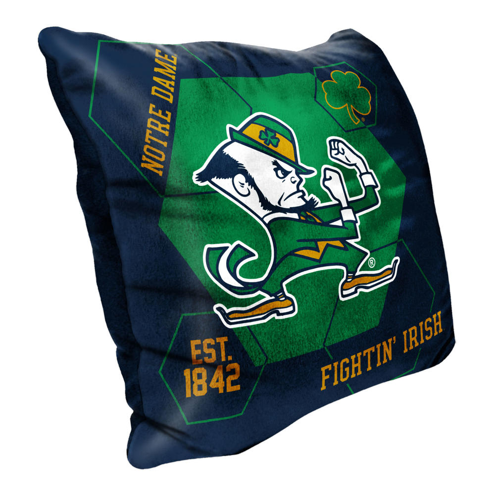 The Northwest Group NCAA Notre Dame Fighting Irish Velvet Reverse Pillow