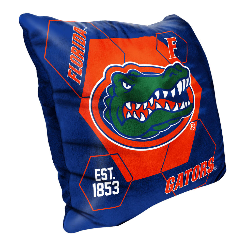 The Northwest Group NCAA Florida Gators Velvet Reverse Pillow