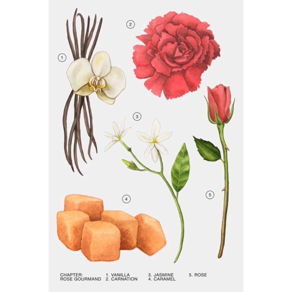Zara Rose Gourmand Perfume for Women EDP Eau De Parfum 30 ML (1.0 FL. OZ)