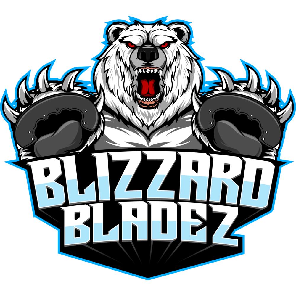 BLIZZARD BLADEZ MOWERMAN PARTS Snowblower Paddle-Used-ON-MTD/TROYBILT/Craftsman Type 753-04472-735-04033-735-04032 (6PC Set)