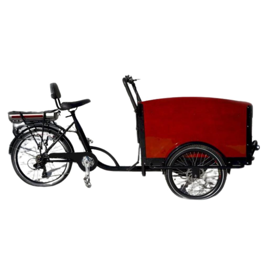 Mobilityscootrike Family Bike Dutch Cargo Trike for Sale