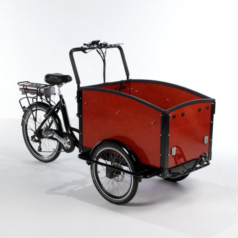 Mobilityscootrike Family Bike Dutch Cargo Trike for Sale