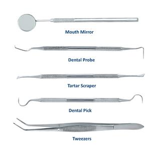 Impressive Smile Professional Dental Hygiene Kit Dentists Tools For Calculus Plaque Removal Stainless Steel Tarter Scraper Probe Scaler