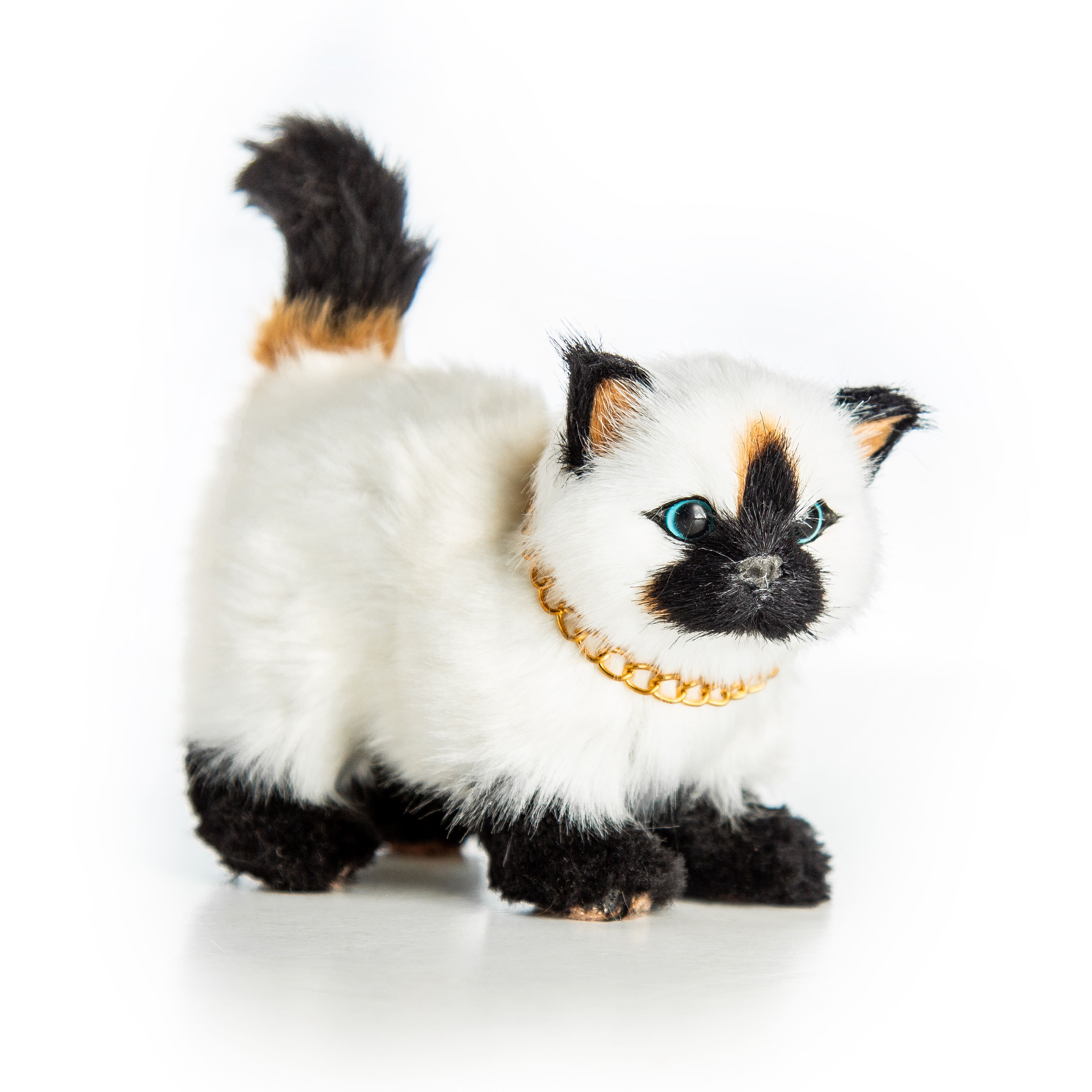 american girl kitty