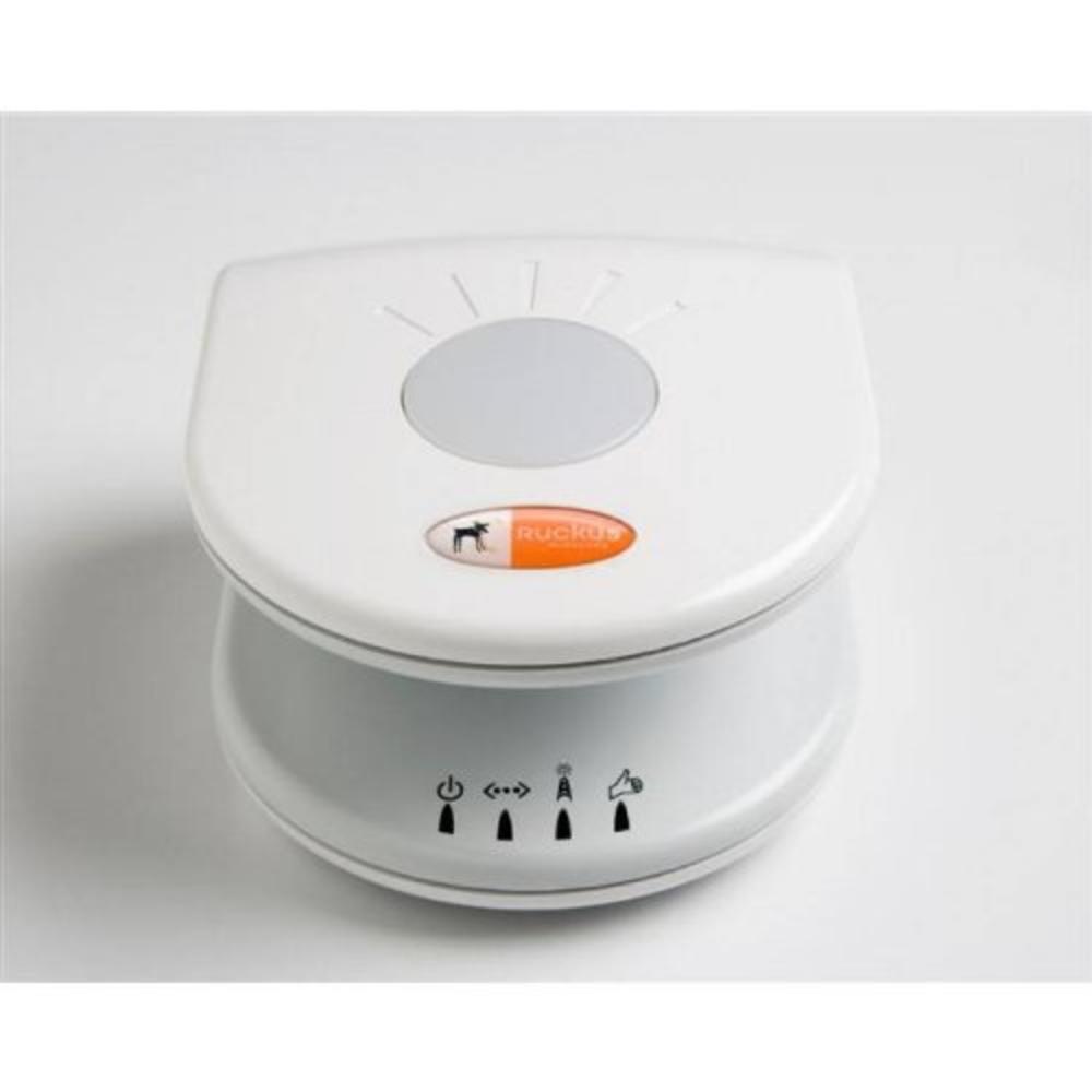 Ruckus Wireless Ruckus Mediaflex 2825 Wireless Router