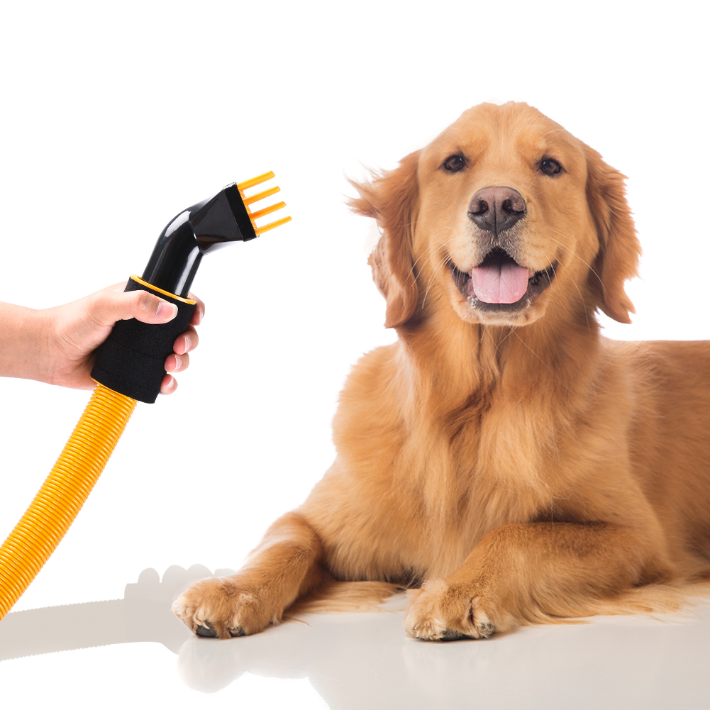 blower dog grooming