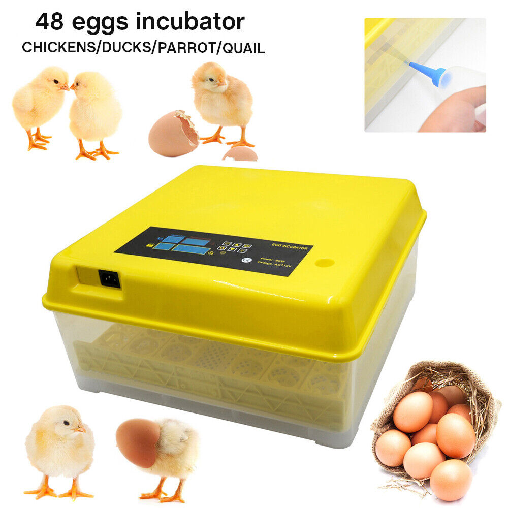 ConvenienceBoutique 48 Egg Digital Incubator
