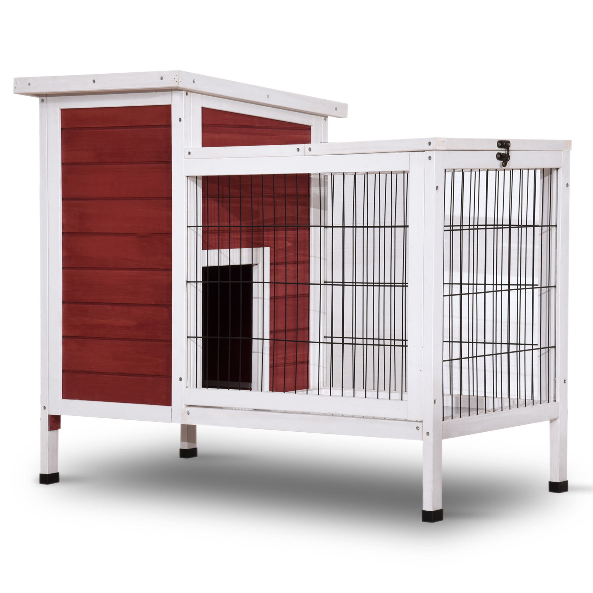 kmart guinea pig starter kit