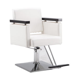 BarberPub Classic Hydraulic Barber Chair Salon Beauty Spa ...