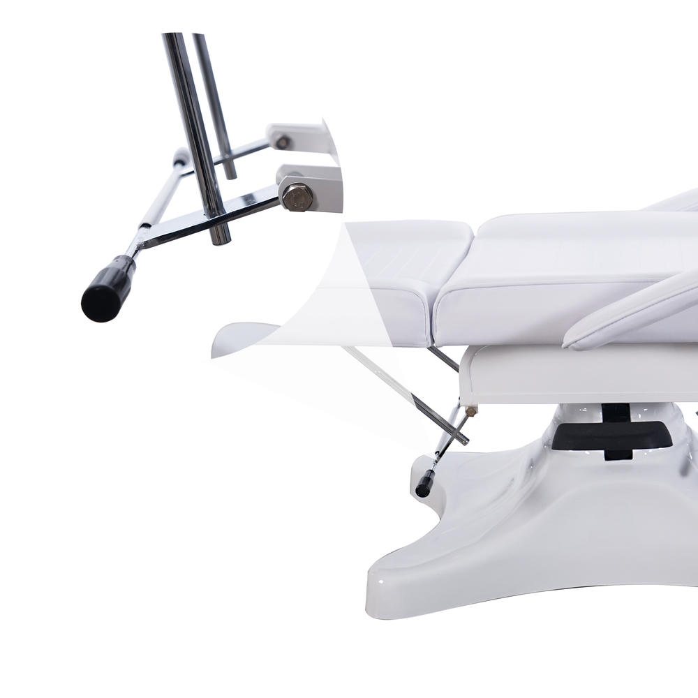 BarberPub Tattoo Bed, Multi-purpose Spa Table with 1 Hydraulic Pump for Massage, Spa, Tattoo, Facial Care, Waxing 6154-9613W