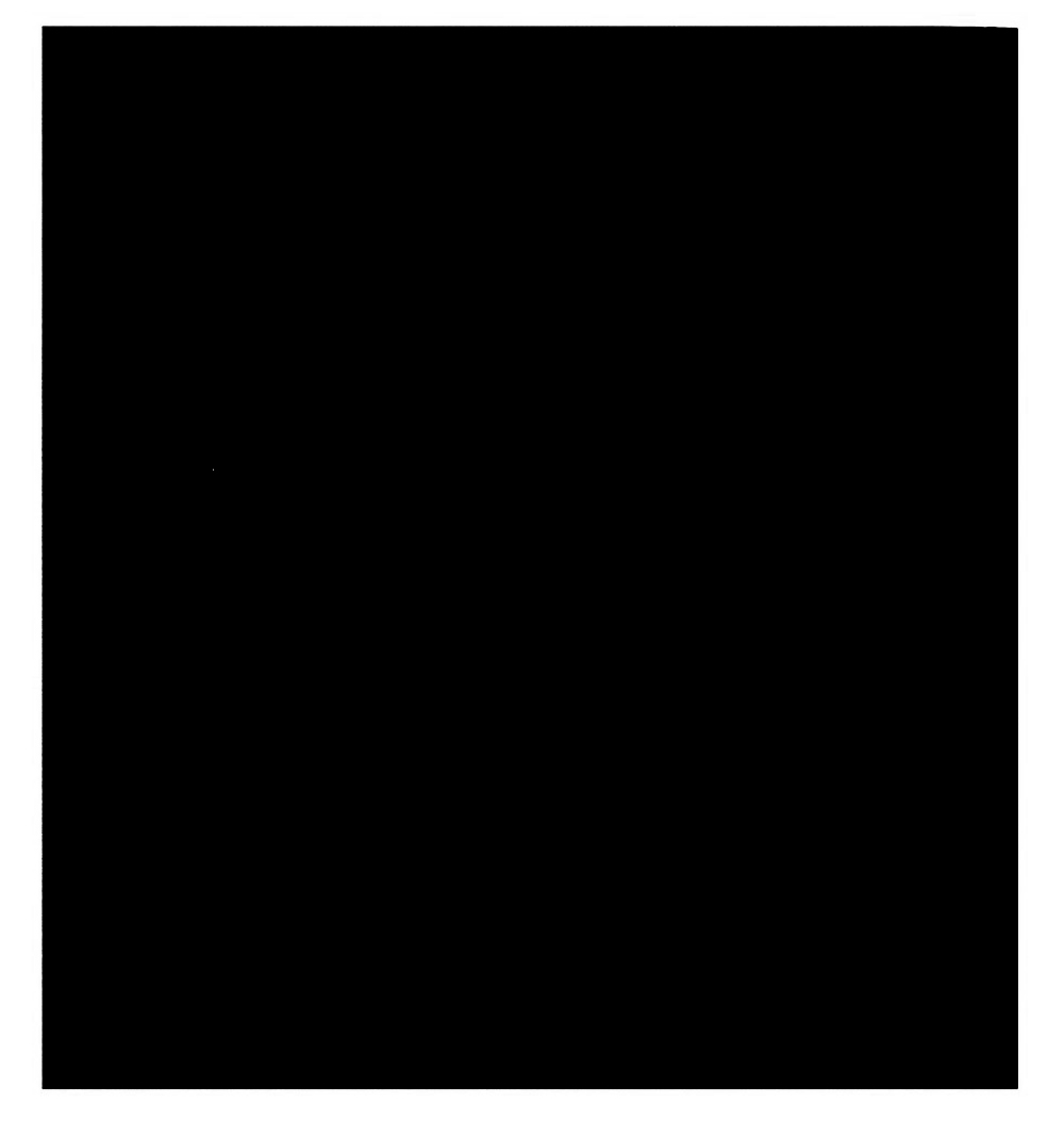 Rothco Black Solid Color Jumbo Bandana 27" x 27" 