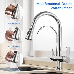MENATT 2 Handle Kitchen Sink Faucet with Dringking Water ...
