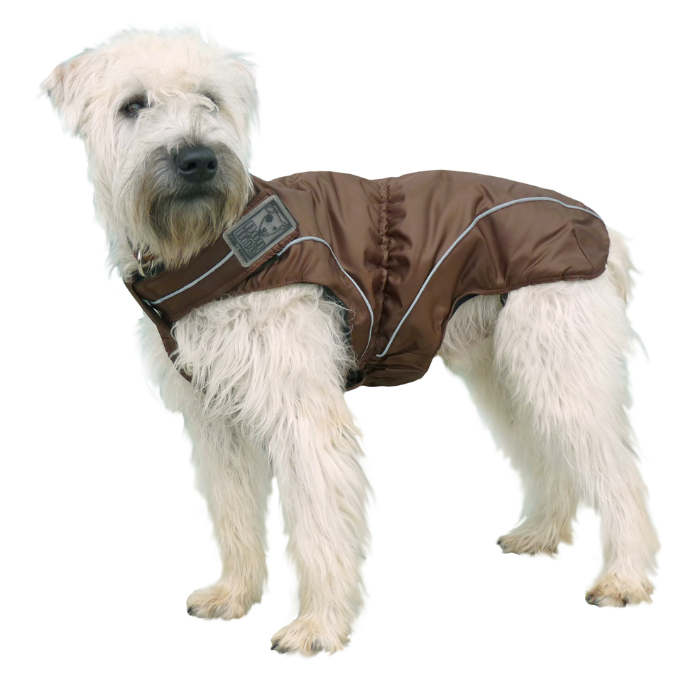 dog jackets kmart