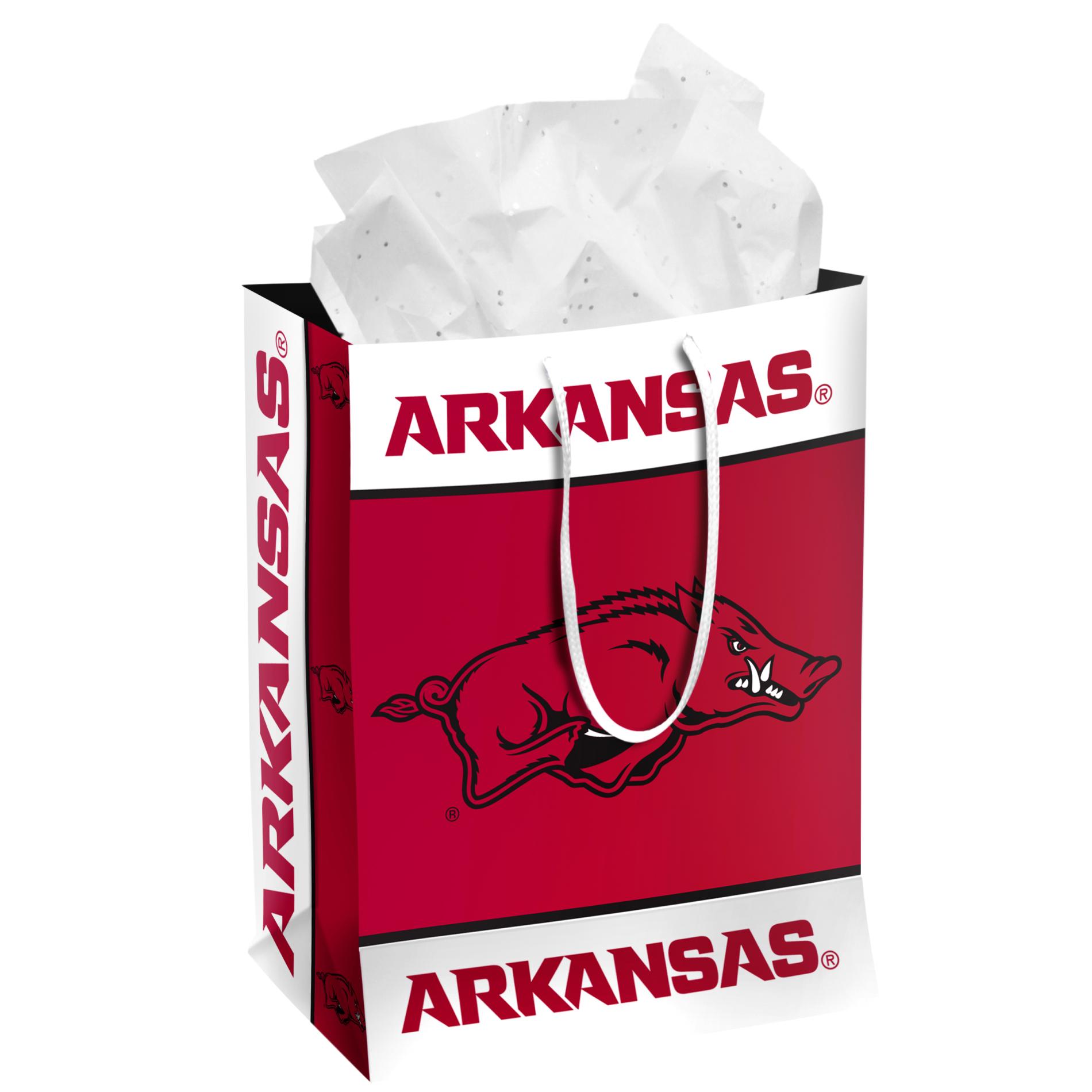 Desert Cactus University of Arkansas Poster UARK Razorbacks 24 x 36 inch Room Office Décor Decoration Official Fan Gear (24x36 Inch