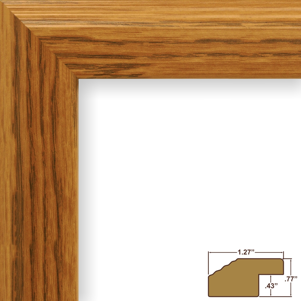 Craig Frames Inc Mossehaus, Contemporary Picture Frame (FW4)