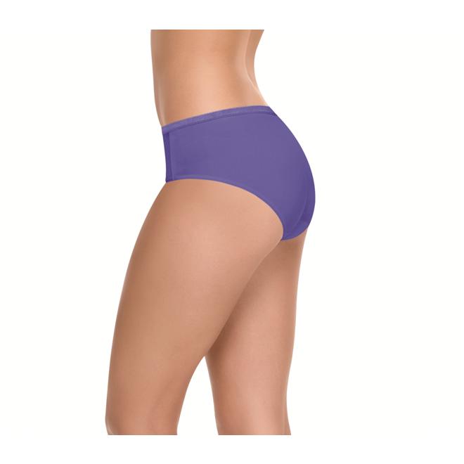 Hanes Women's 6Pack LowRise Brief Panties