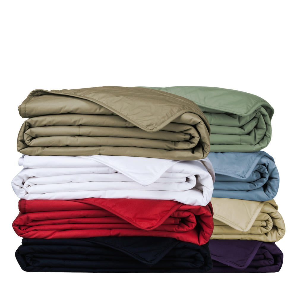 Cotton Loft  Soft and Warm All Natural Breathable Hypoallergenic Cotton Blanket