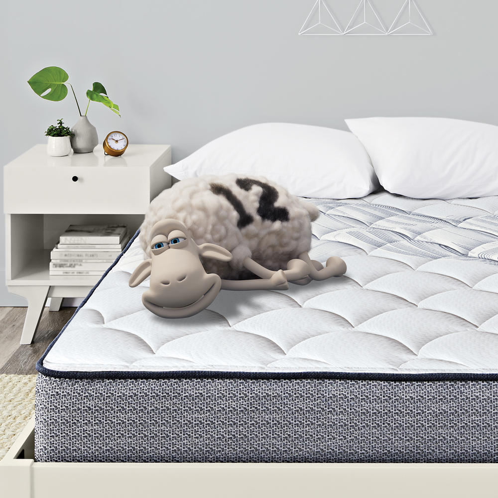 Serta Elkins II Eurotop Plush King Mattress
