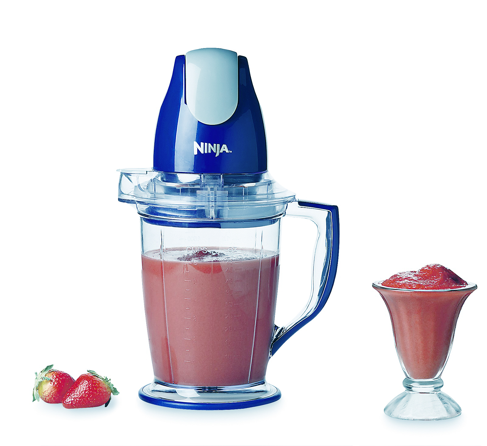 Ninja Master Prep Professional Blender/Food Processor with 16 Oz